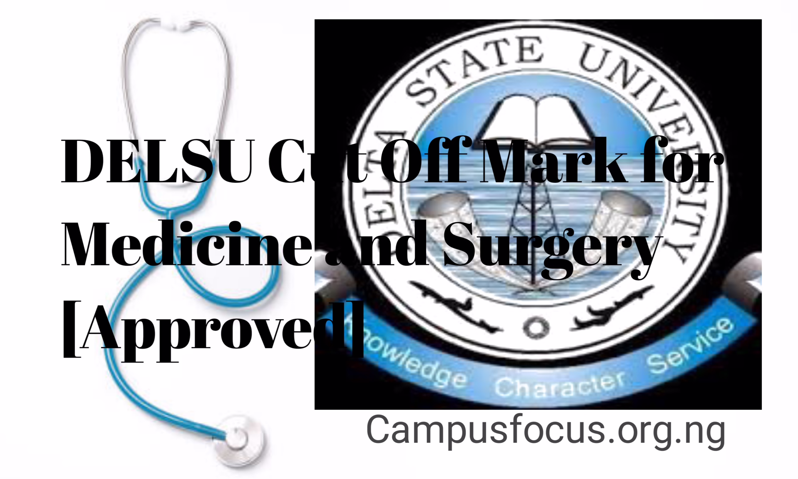 DELSU Medical Image || DELSU Cut Off Mark for Medicine and Surgery