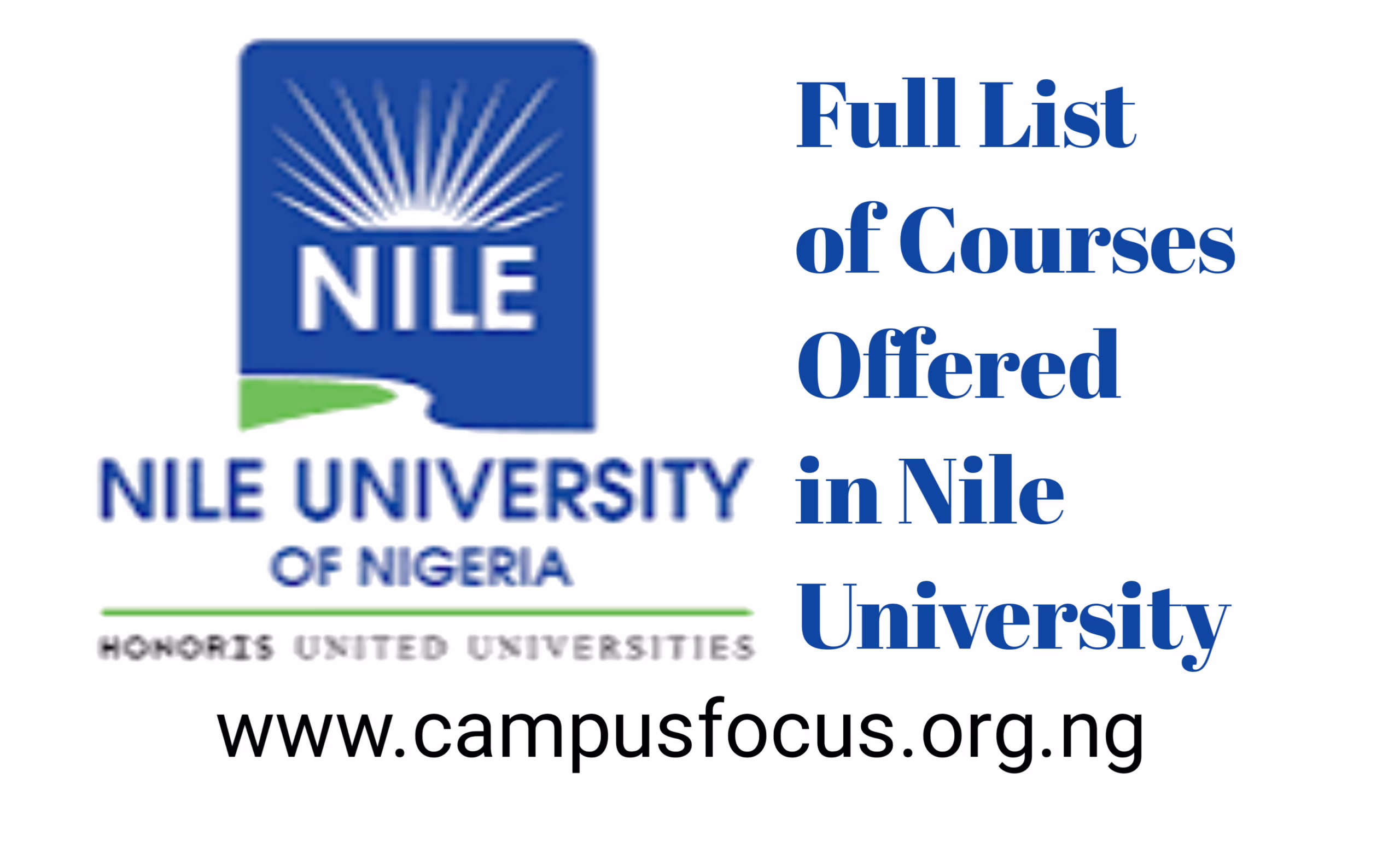 Nile University Image || Courses Offered in Nile University