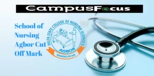 DSCNSA Image || School of Nursing Agbor Cut Off Mark