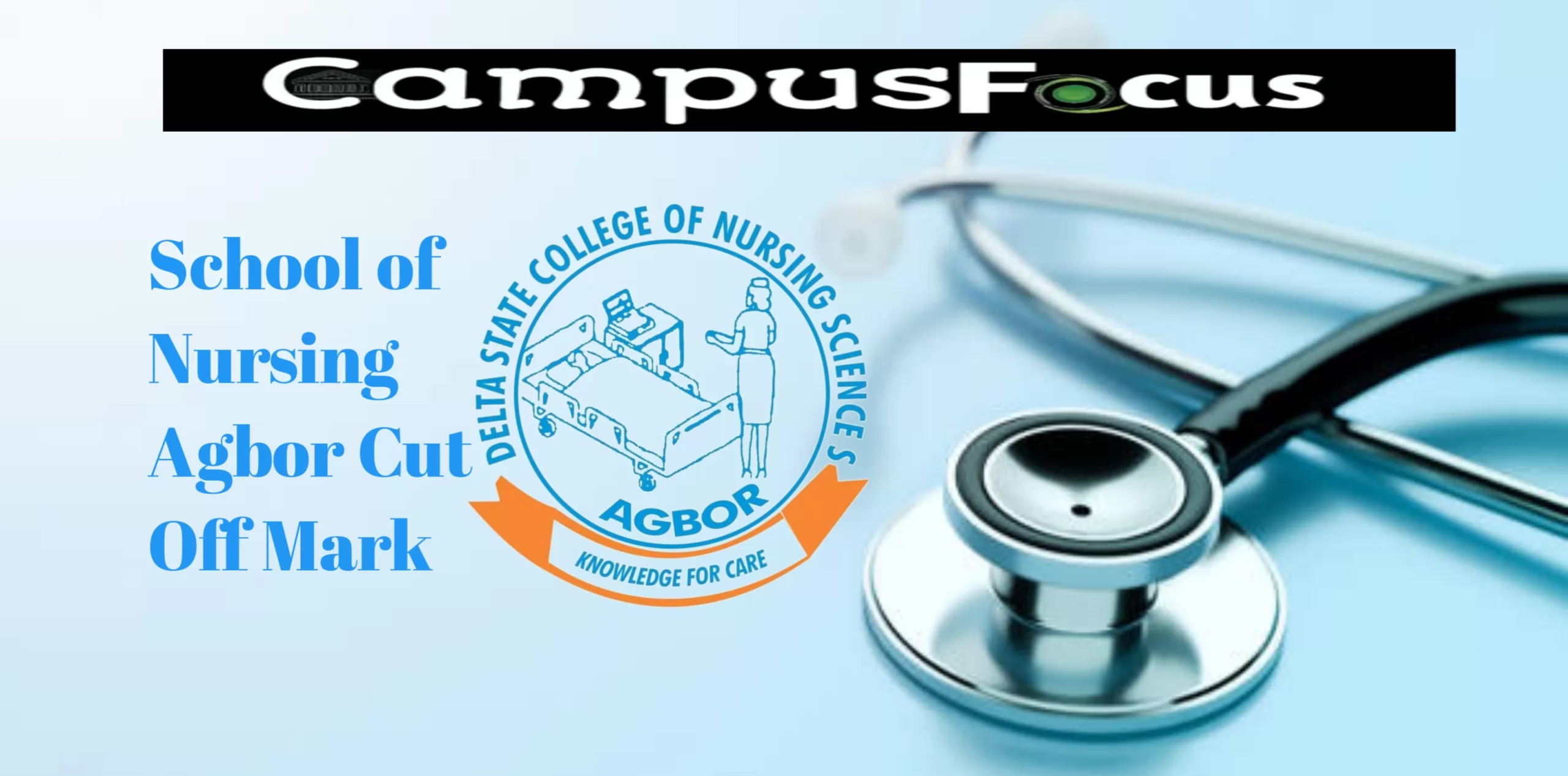 DSCNSA Image || School of Nursing Agbor Cut Off Mark