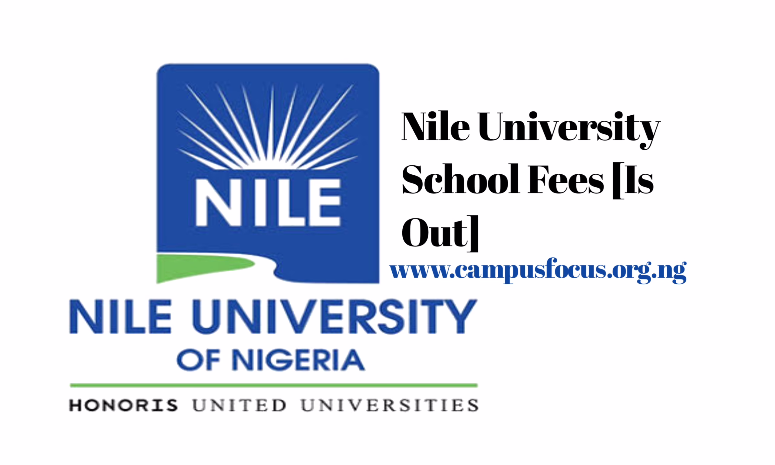 Nile University Image || Nile University School Fees